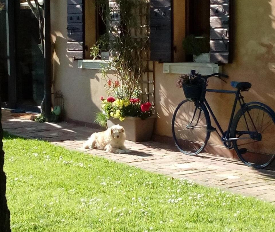 Haus Heidi