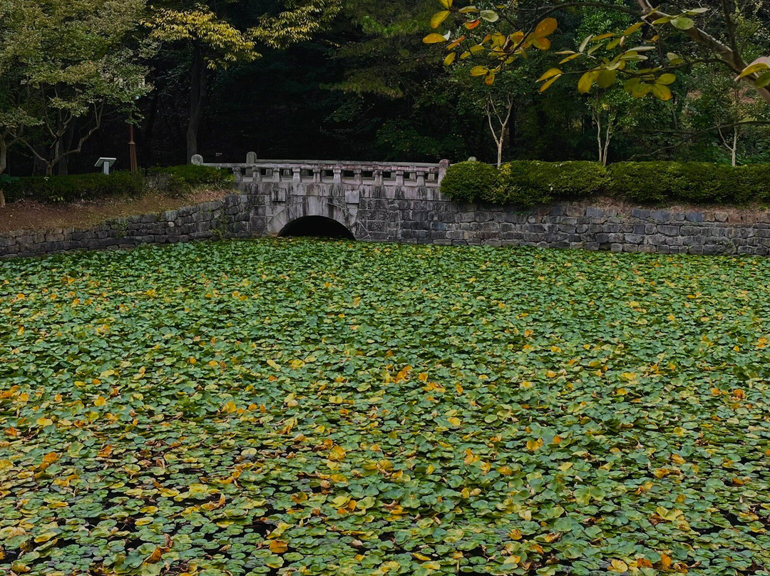 Uam historical Park景点图片