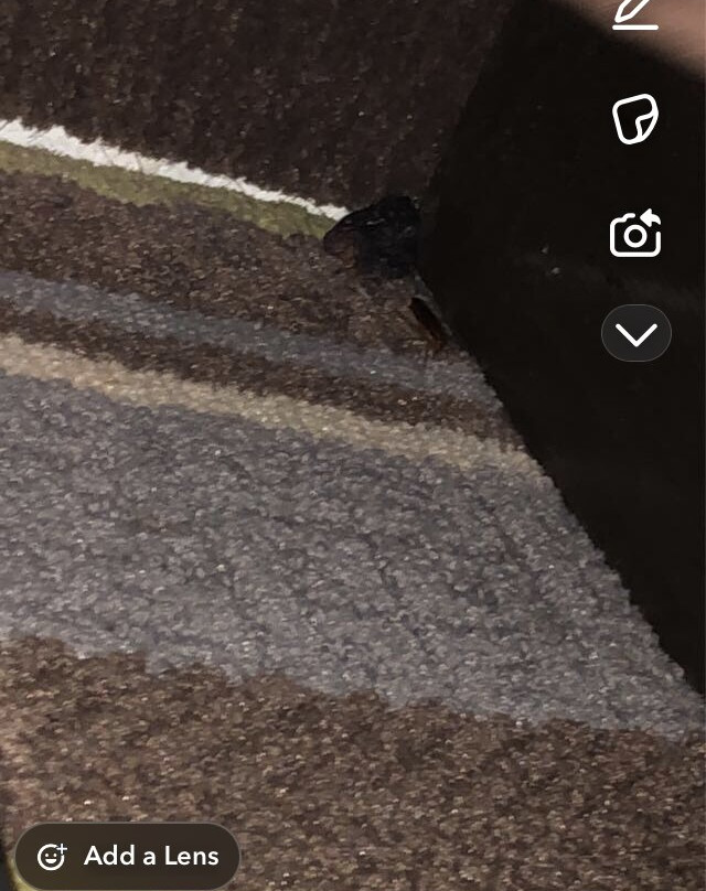 Super 8 by Wyndham Aurora/Naperville Area主图