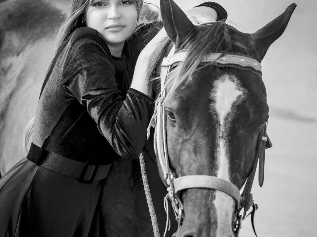 Hidalgo Horses Aventuras景点图片