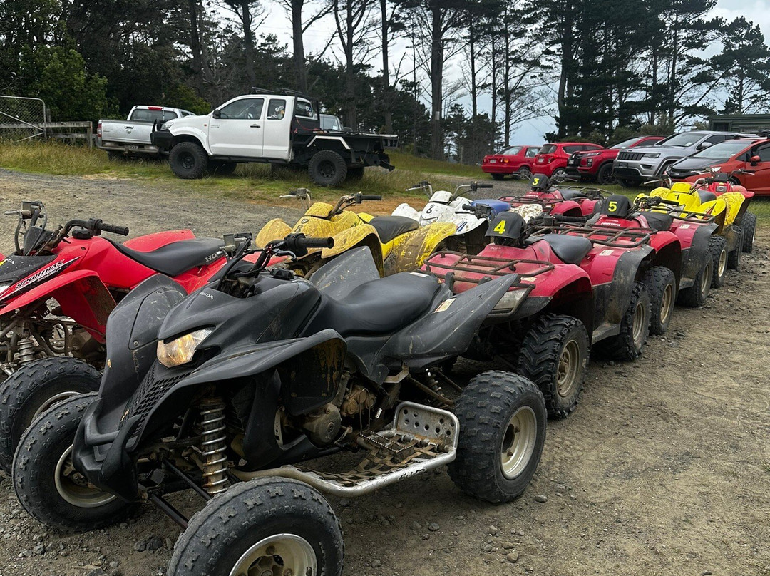 4Track Adventures-奥克兰中心地区必去景点