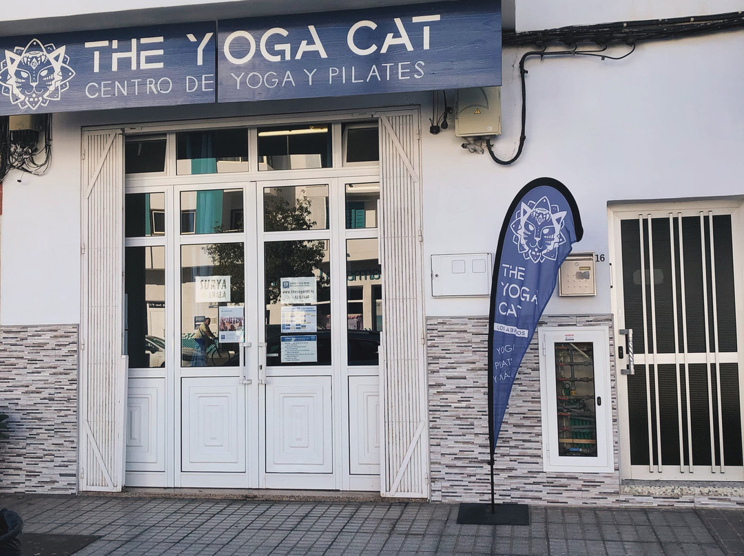 The Yoga Cat Tenerife景点图片