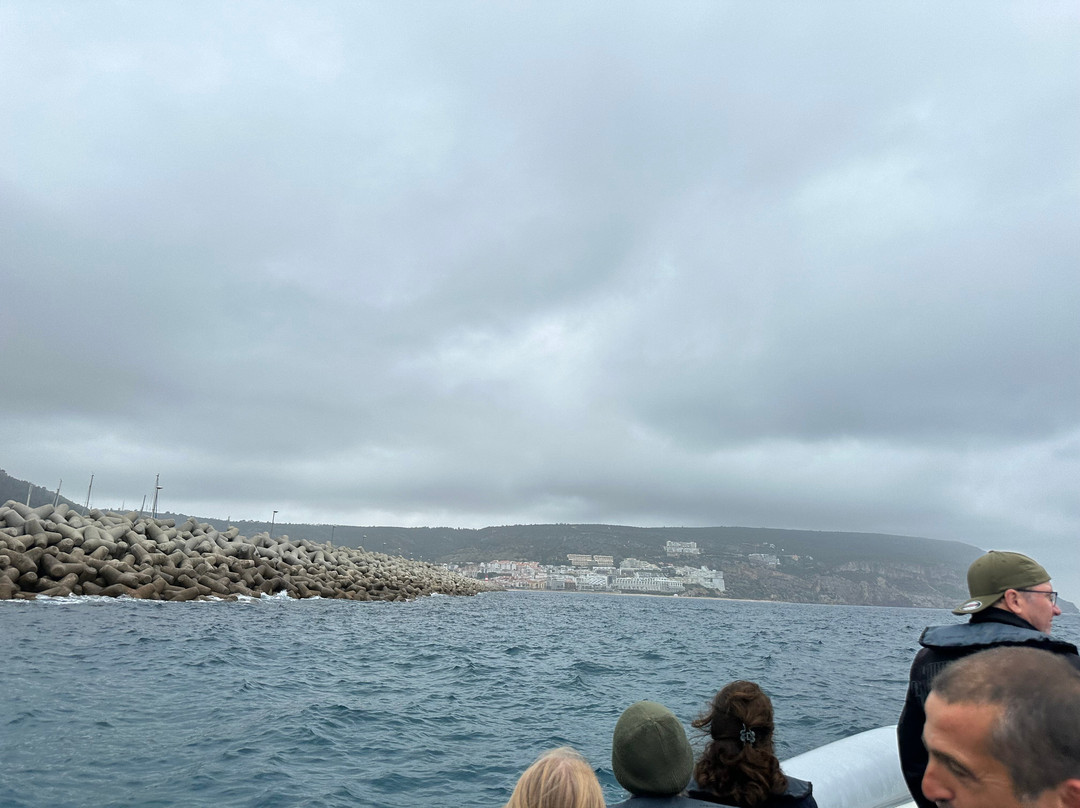 Arrábida Life-塞新布拉必去景点