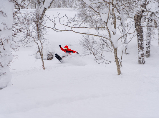 Revelstoke Photography Tours-雷夫尔斯托克必去景点