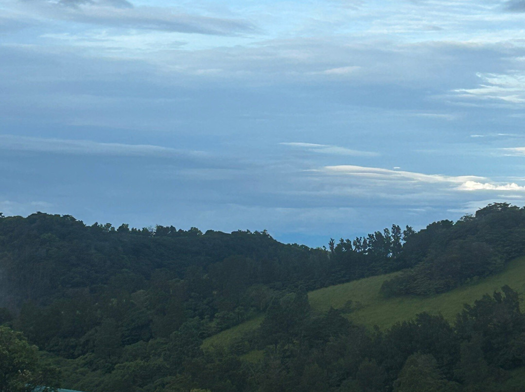 Bosque Verde Lodge主图