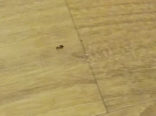 卡特雷拉威假日酒店主图