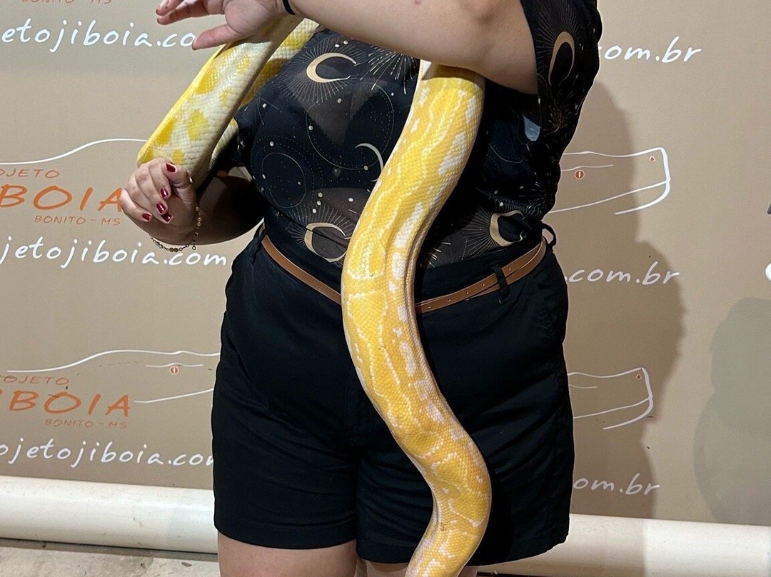 Projeto Jiboia-博尼图必去景点