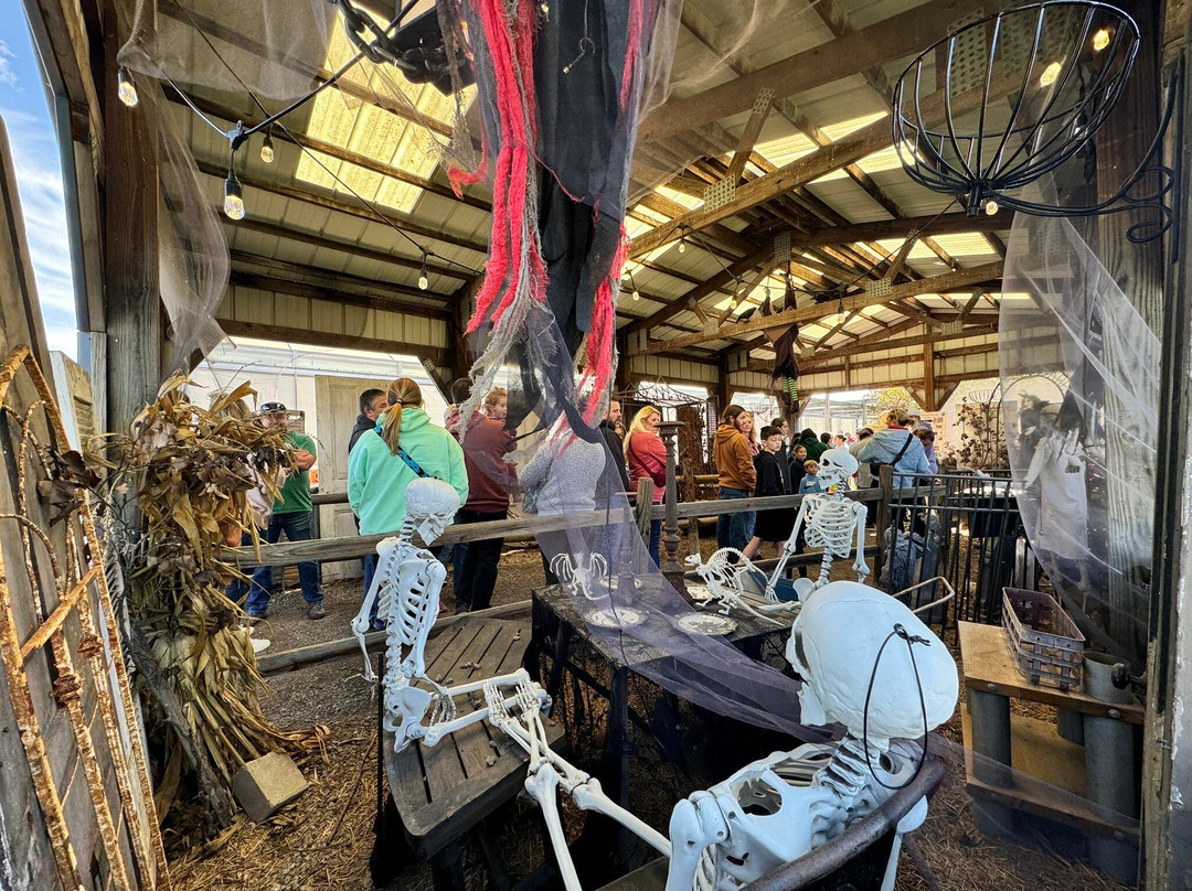 Windmill Farm Market-Springboro必去景点