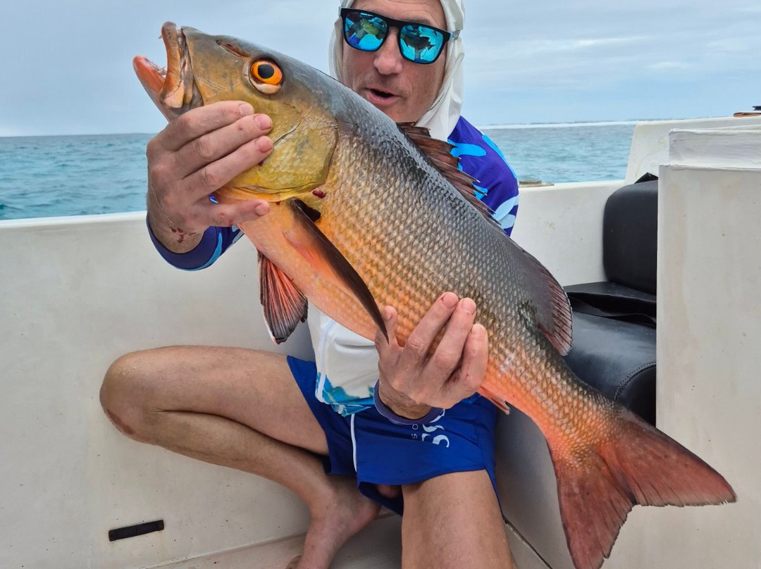 Daisy Cottage - Dhangethi主图