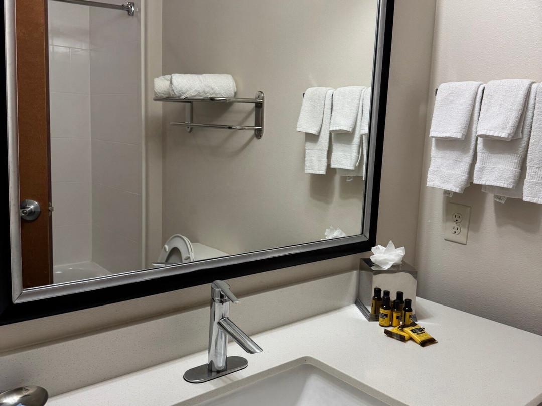 Best Western Plus Spring Inn & Suites主图