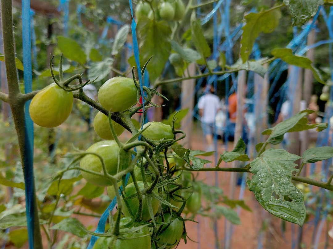Queira Agroecologia-Espirito Santo Do Pinhal必去景点