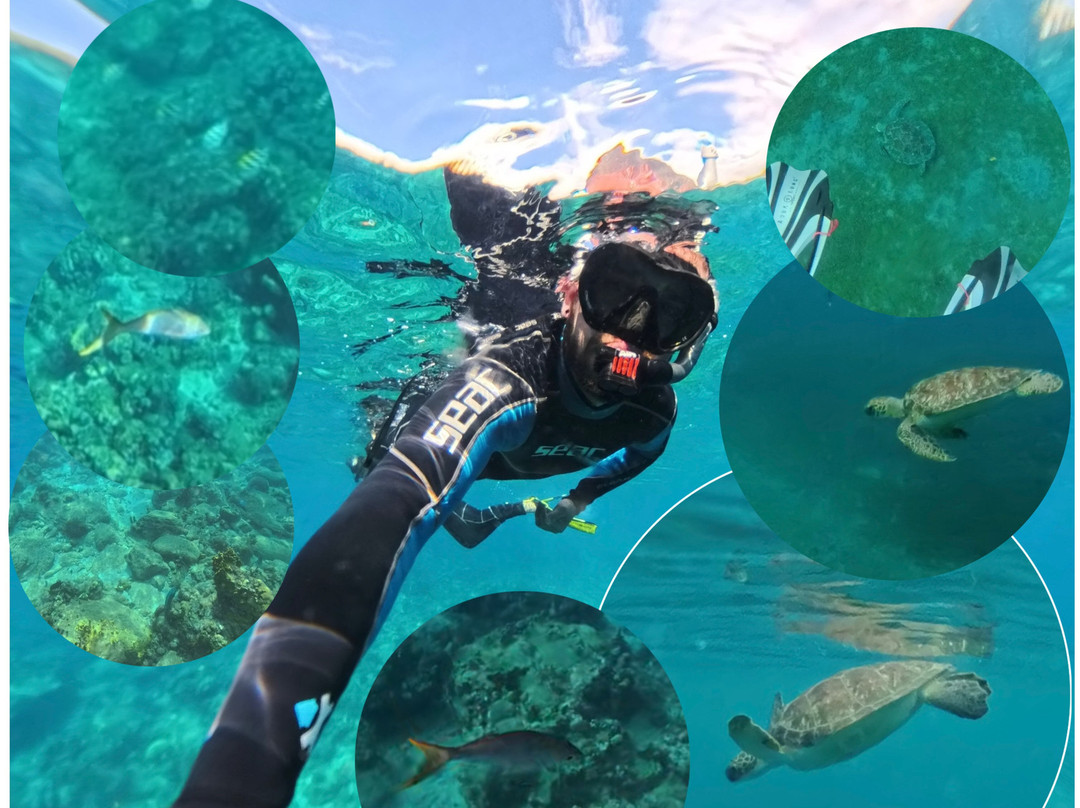 Anbadlola Guadeloupe-Plongee-Pointe-Noire必去景点