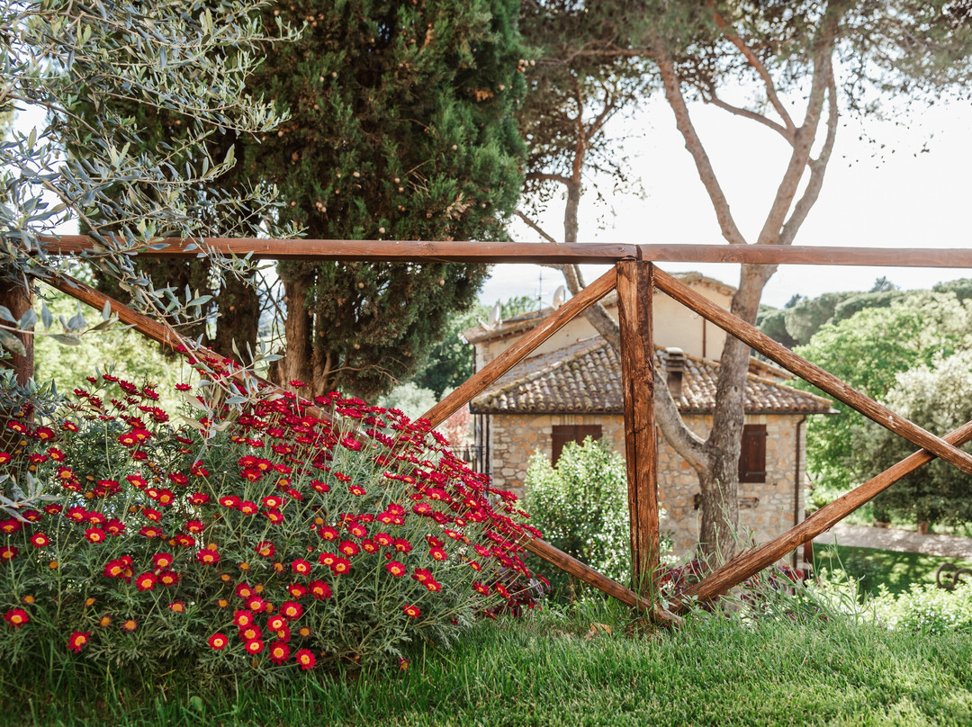 Borgo Petroro Country Relais & Restaurant主图