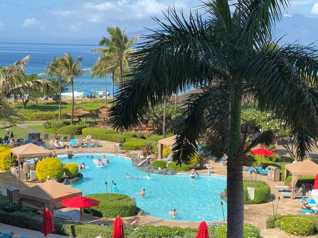 HK度假村科尼亚公寓主图