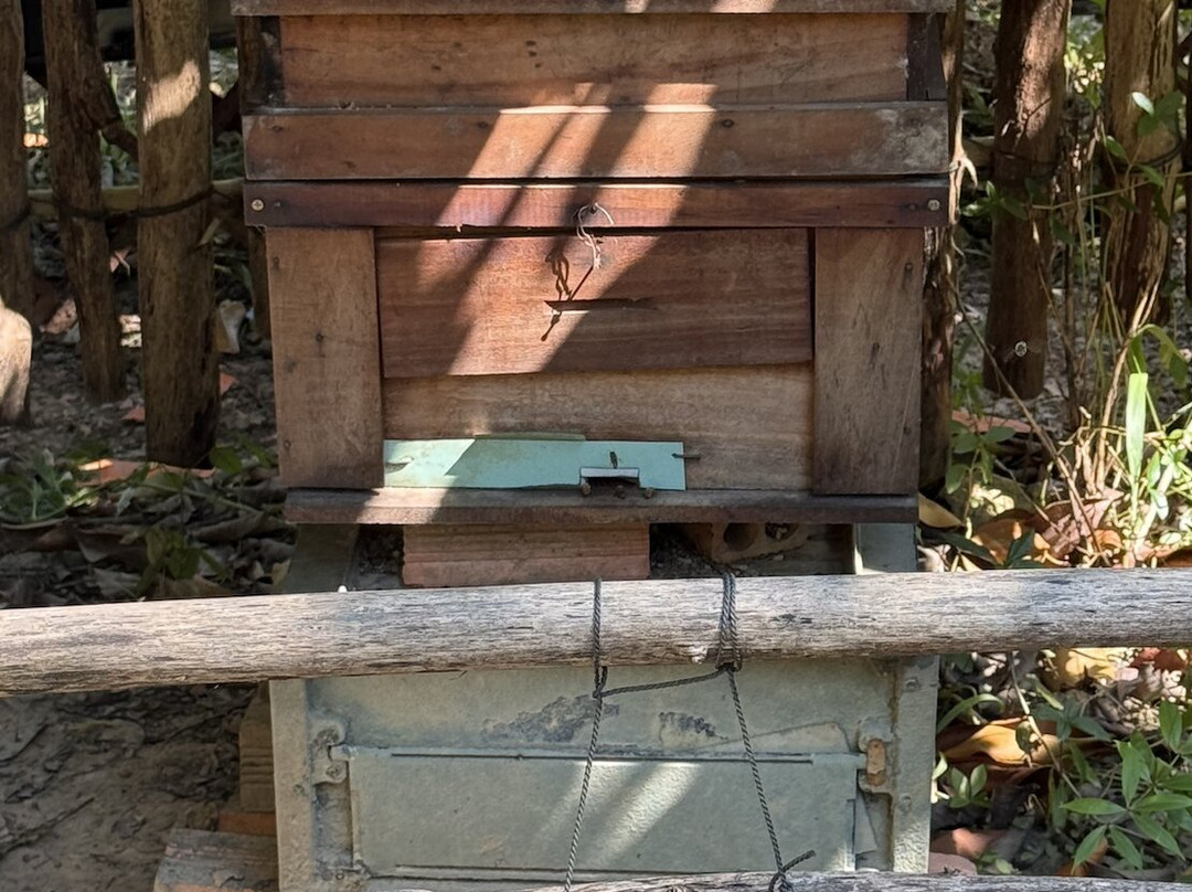 Antinho Green Travel-扬东必去景点