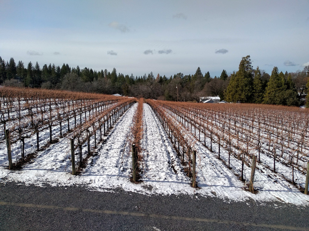 Golden Leaves Vineyard & Winery-Somerset必去景点