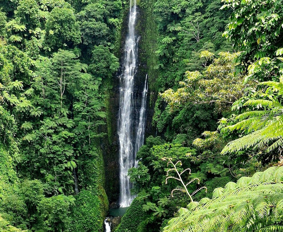 Papapapaitai Falls-阿皮亚必去景点