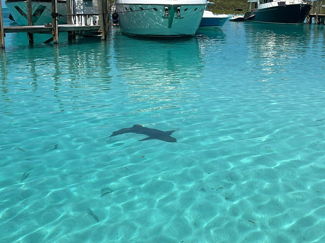 Sugar Adventure Company-day Boat Tours-大埃克苏马必去景点