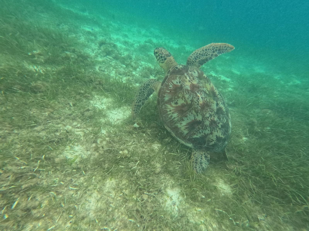 沃达卡拉纳海滩度假村主图