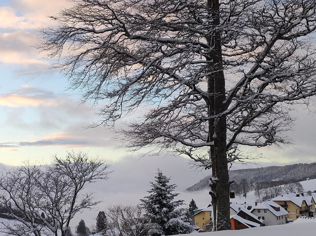 Hotel & Chalets Herrihof主图