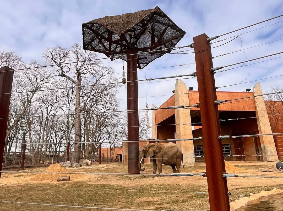 托莱多动物园-托莱多必去景点