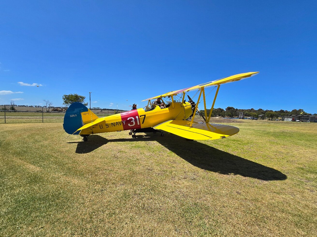 Tiger Moth World-托基必去景点