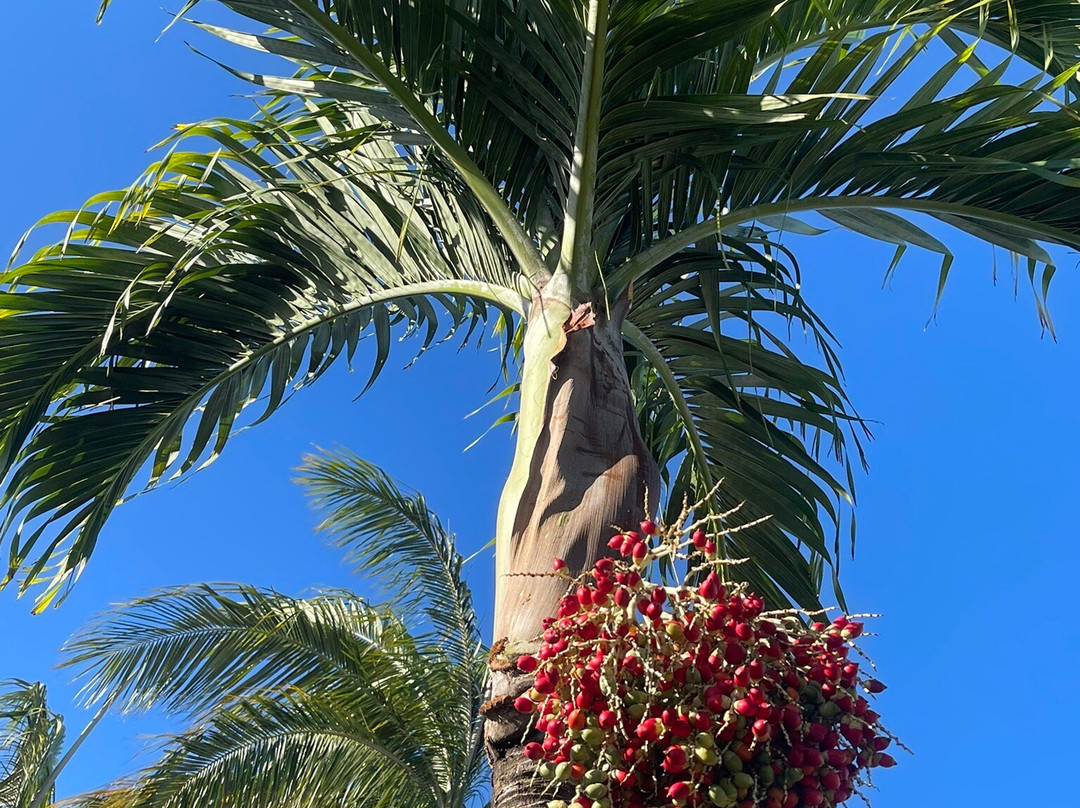 La Villa des Cannes主图