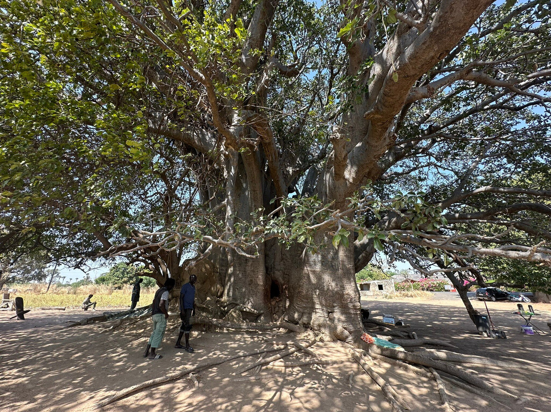 Abdallah Giorgio Tours Saly-Saly必去景点