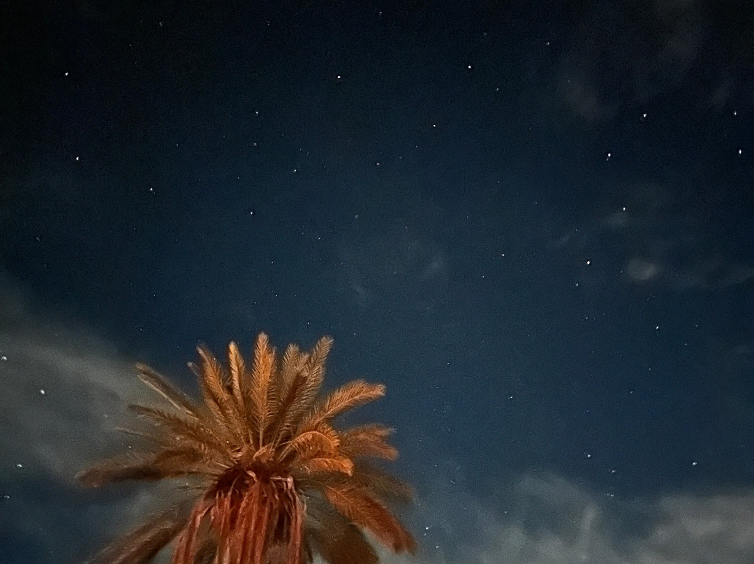 Enjoy Travel Morocco-瓦尔扎扎特必去景点