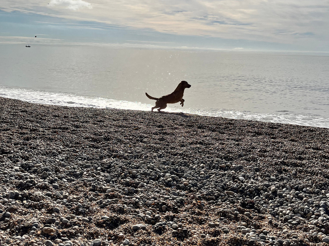 Branscombe Beach-Branscombe必去景点