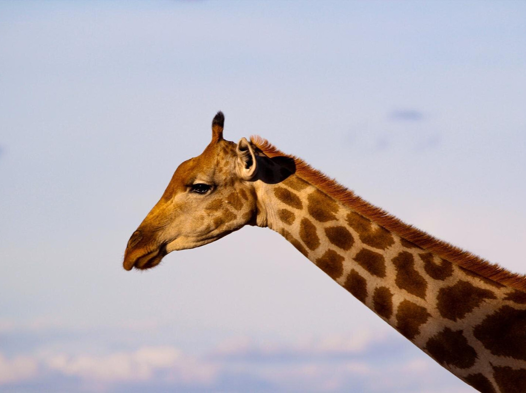 Lark Journeys-温德和克必去景点