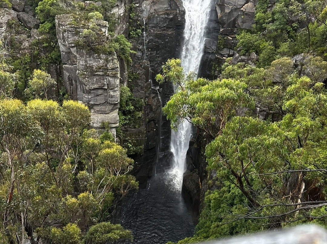 Russian Guides Australia-悉尼必去景点