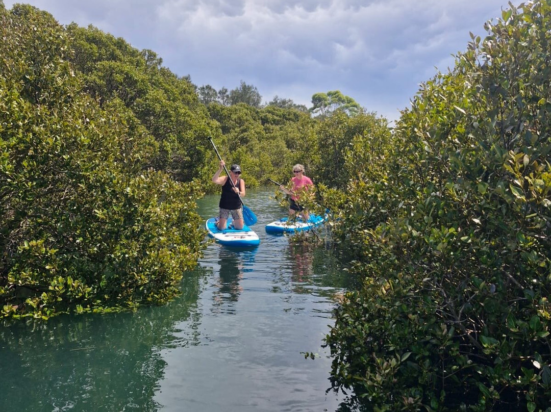 Stand Up Paddle Boarding Shellharbour景点图片