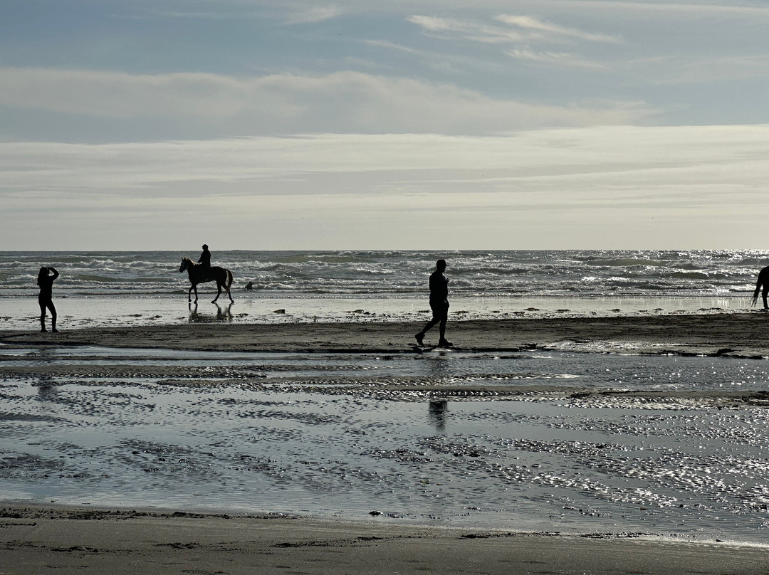 Coastal Inn and Suites主图