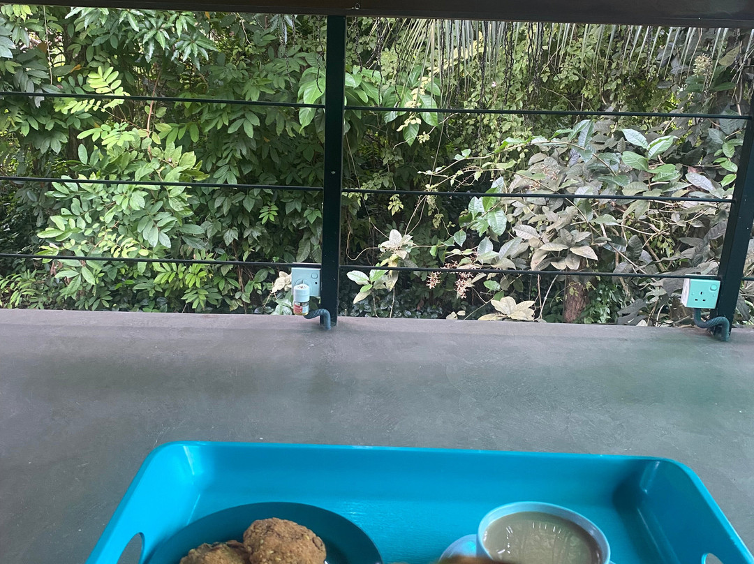 Nature Side Yoga & Ayurveda-希克杜沃必去景点