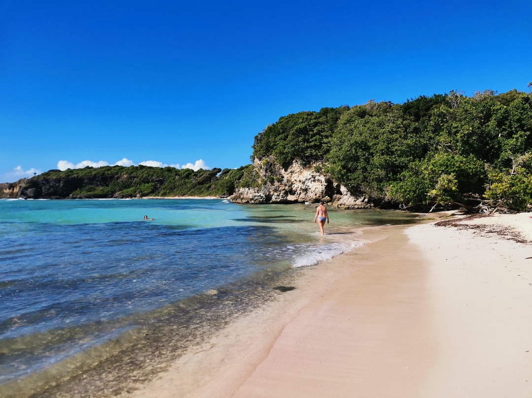 Anse à Jacques-Le Gosier必去景点