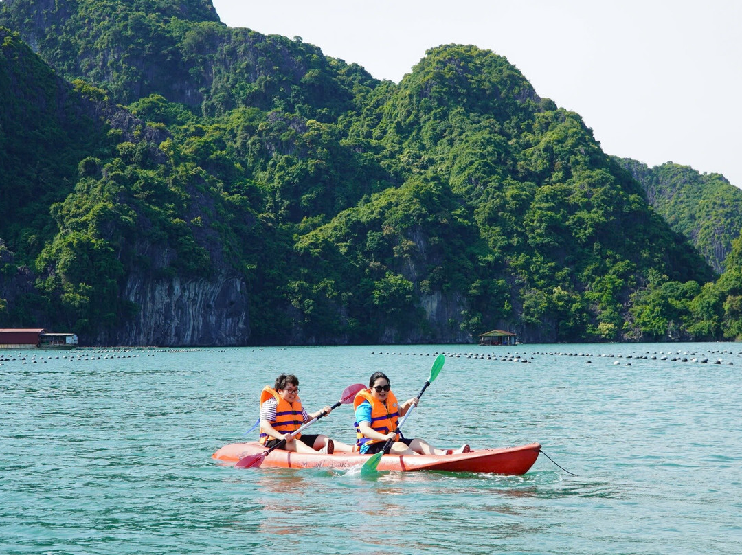 VIET INTERNATIONAL TRAVEL AND TRADE DEVELOPMENT CO., LTD