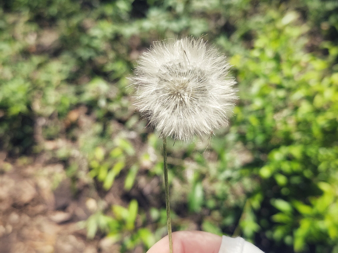 Lopo Peak-Extrema必去景点