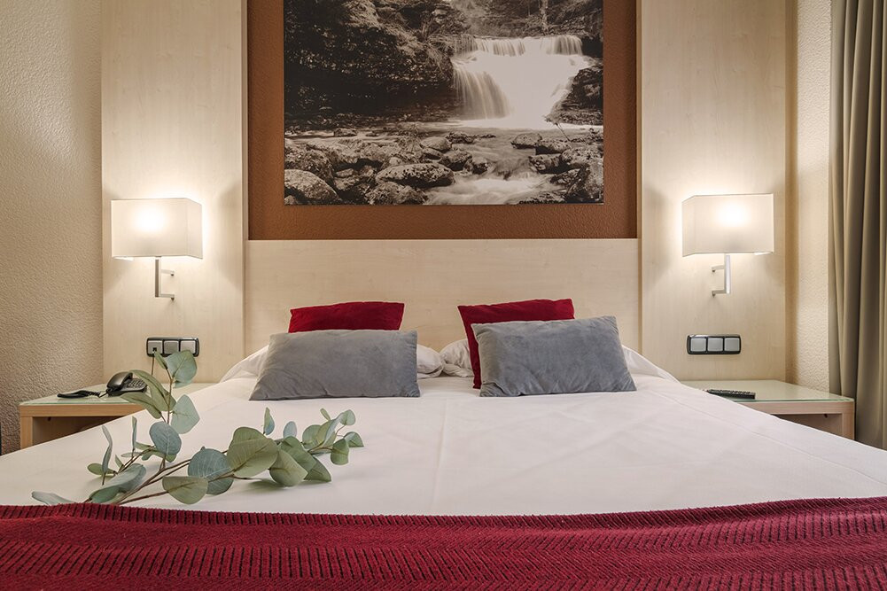 Hotel Condes de Haro主图