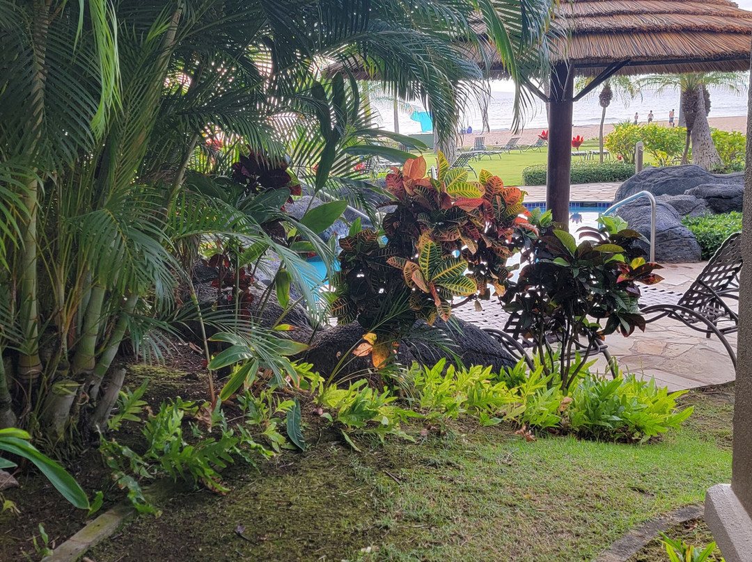 摩洛凯、毛伊及拉奈塔万豪毛伊岛俱乐部酒店主图