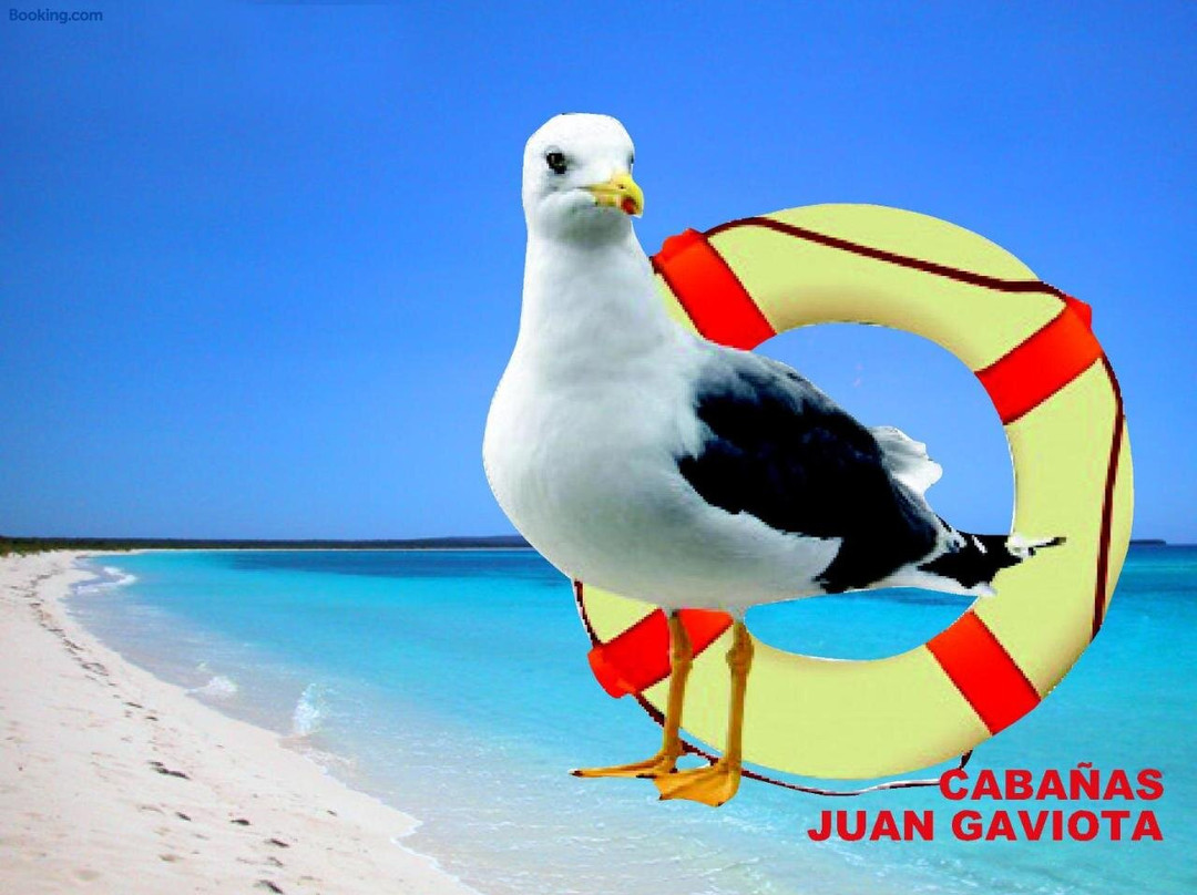 Cabanas Juan Gaviota