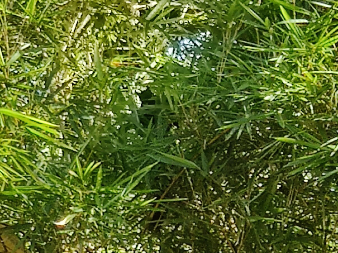 魔力山边公寓
