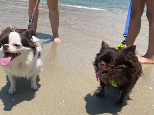 Praia dos Milionários-Sao Vicente必去景点