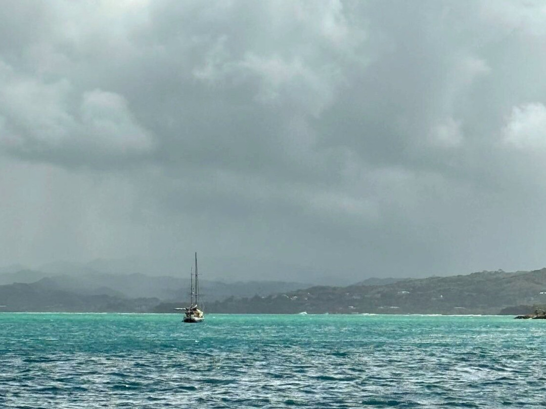 Sailing Catamaran Picante Private Day Tours-克朗波因特必去景点