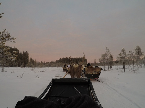 ArcticAdventures Lapland-罗瓦涅米必去景点