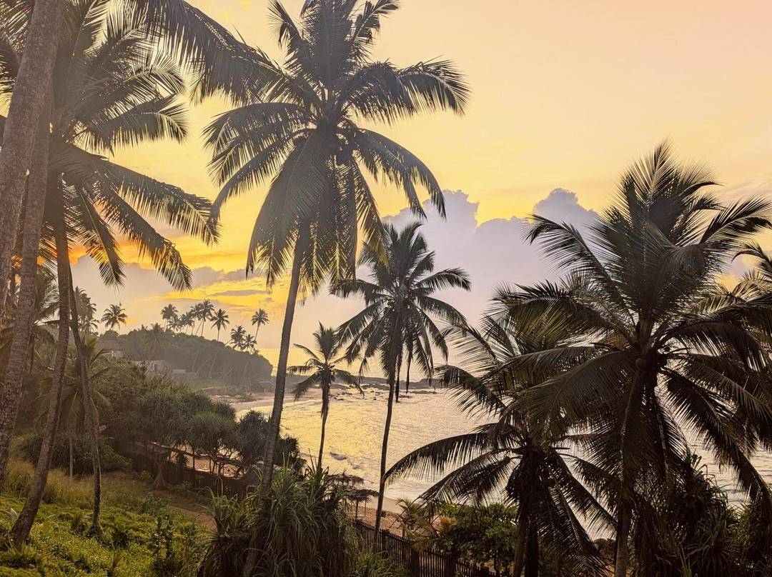 阿曼湾勒酒店主图