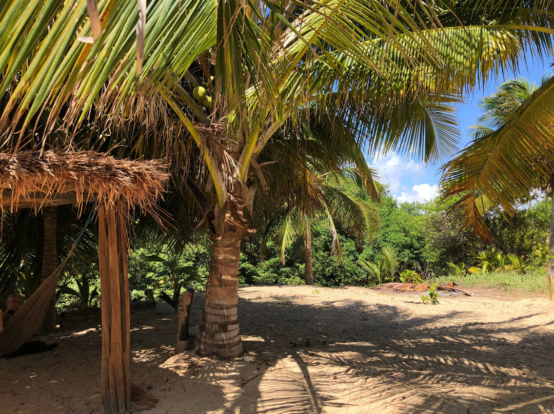 Pousada B&B Beach House Pontal do Peba主图