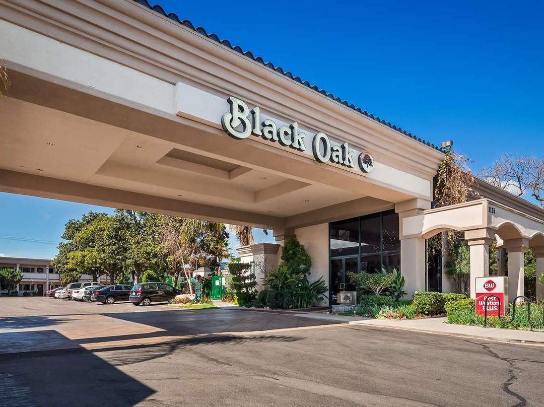 Best Western Plus Black Oak主图