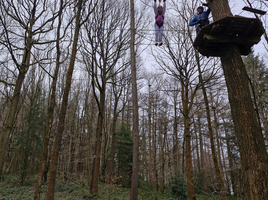 Go Ape Wyre景点图片