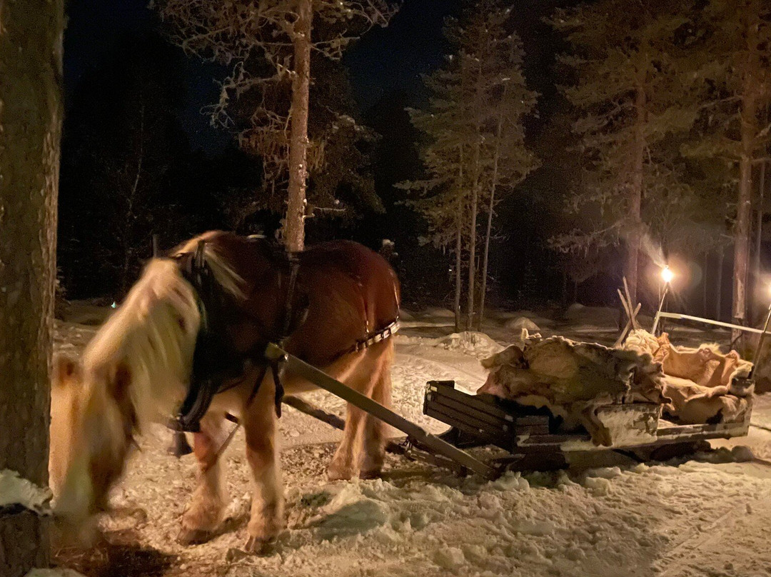 Trysil Hestesenter景点图片